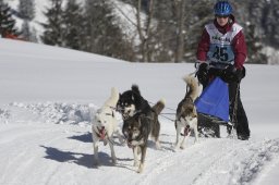 Kandersteg 2013